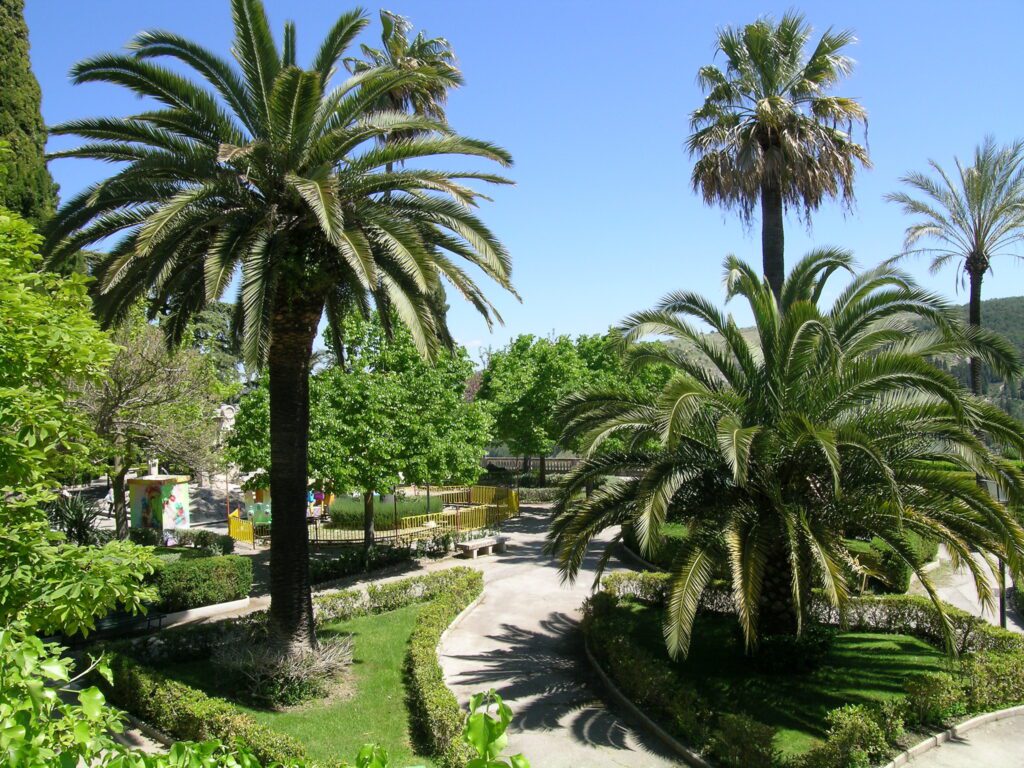 Giardino con palme e piante verdi rigogliose in una giornata soleggiata