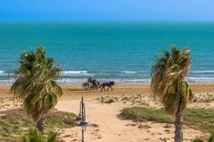 Spiaggia con palme, ombrellone e cavalli che passeggiano sul lungomare, vista mare di estensione infinita